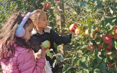 “POZDRAV JESENI” – poludnevni izlet učenika razredne nastave / “ПОЗДРАВ ЈЕСЕНИ” – полудневни излет ученика разредне наставе