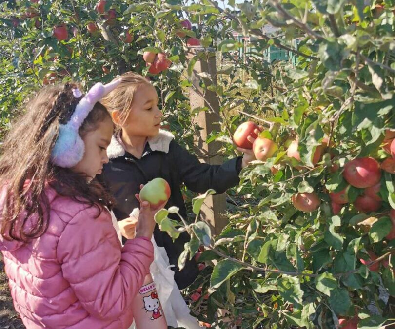 “POZDRAV JESENI” – poludnevni izlet učenika razredne nastave / “ПОЗДРАВ ЈЕСЕНИ” – полудневни излет ученика разредне наставе