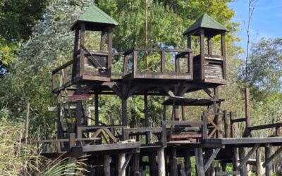 Jednodnevni izlet učenika razredne nastave – Zasavica / Једнодневни излет ученика разредне наставе – Засавица