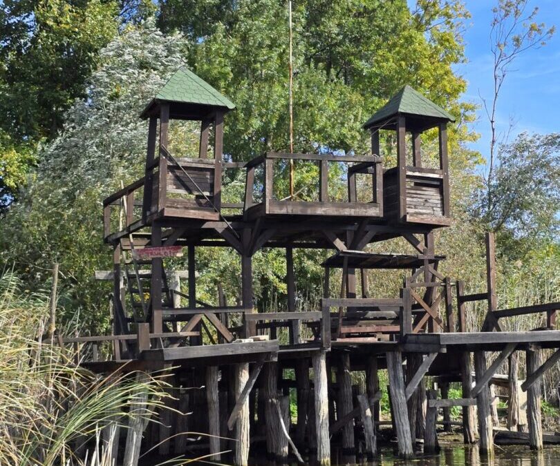 Jednodnevni izlet učenika razredne nastave – Zasavica / Једнодневни излет ученика разредне наставе – Засавица